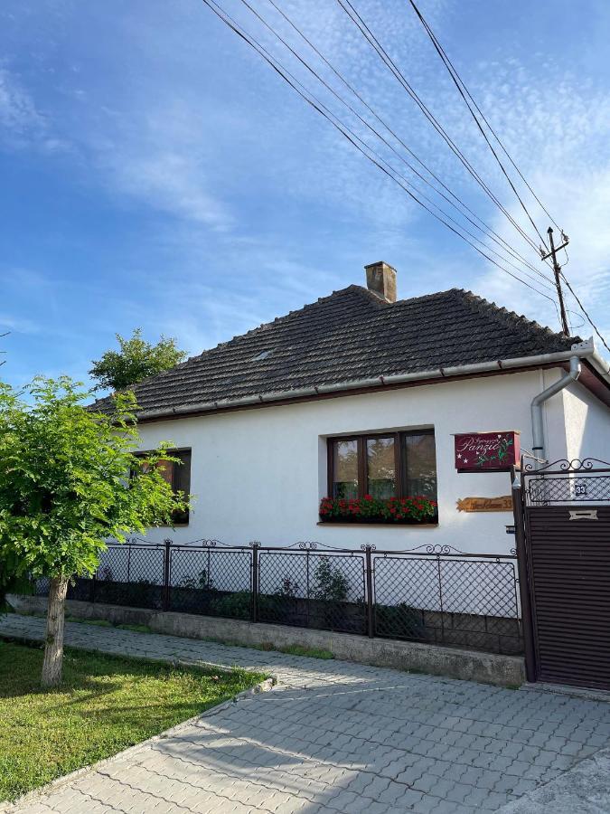 Gyongyver Panzio Sfântu-Gheorghe Exterior foto